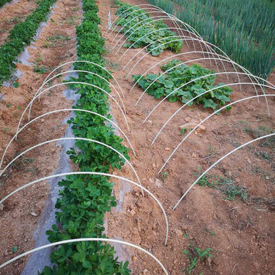 Palhas de FRP para suporte de plantas de comprimento e peso leve personalizadas