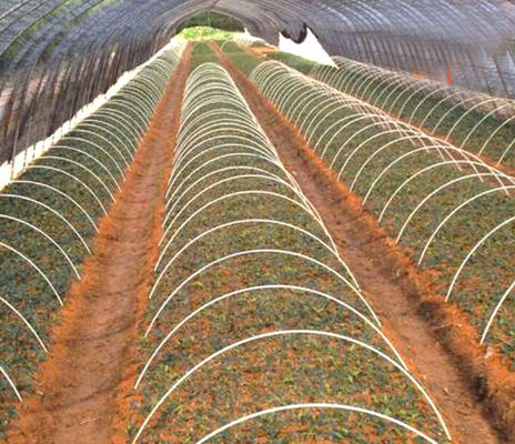 1 m a 11,6 m de comprimento Rodas de fibra de vidro GFRP para apoio de túneis agrícolas