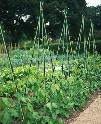 1m a 11,6m comprimento estacas de fibra de vidro de alta resistência para tomate árvores e feijão